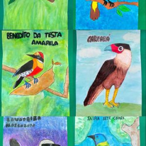 AVES DO BRASIL